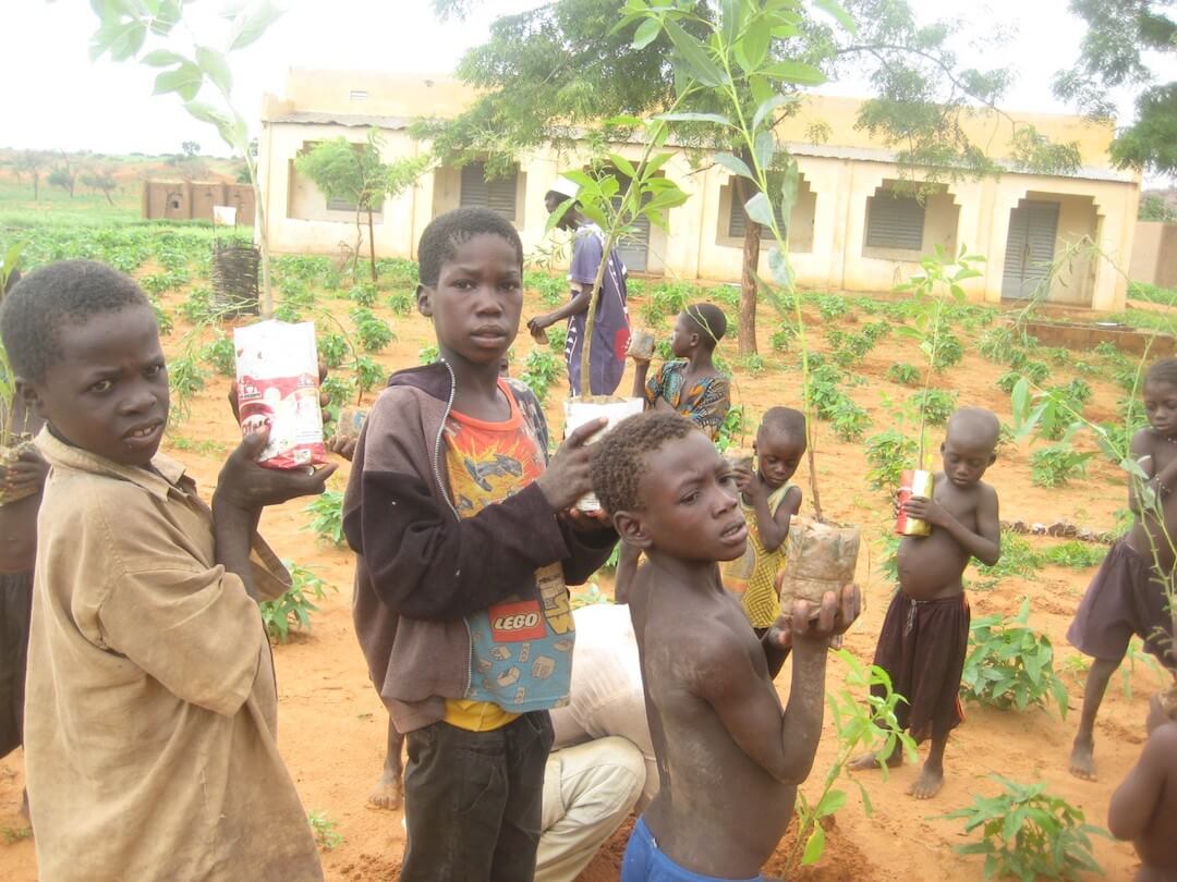 plantation école